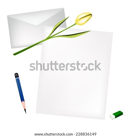 A Sharpened Pencil, Eraser and Beautiful Yellow Tulip Laying on Blank Paper and Envelope. 
