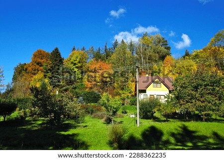 image of a house built in the forest, autumn nature, aesthetic photography
