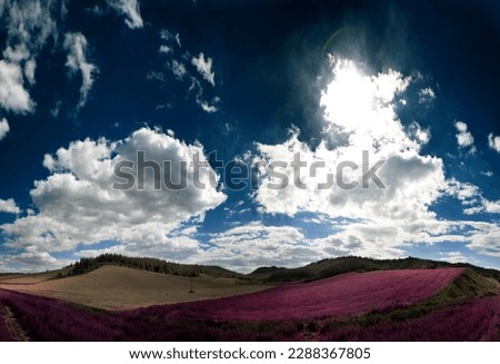 Spring time field and panoramic landscape photography ,infrared color and emotional fresh time in Turkey                    