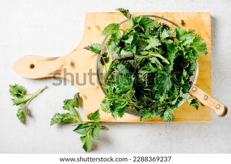 Young nettle leaves in a glass bowl in the kitchen. Stinging nettle leaves. Royalty-Free Stock Photo #2288369237