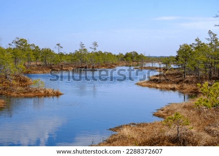 Kemeru swamp, national park with blue lake and trees, and bushes in Latvia with wooden pathway between water, Europe.