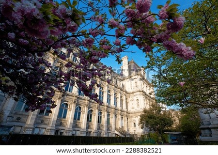 Paris, the city hall, with cherry trees blossom. France. Royalty-Free Stock Photo #2288382521