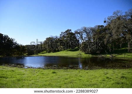 Beautiful pond on mountain top on a cool spring morning