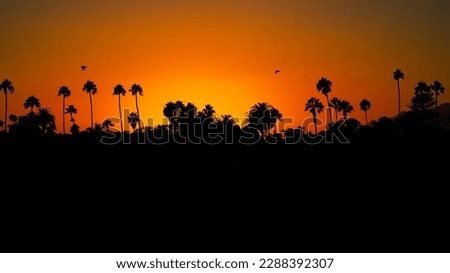 Golden Hour sunset of San Diego. Silhouette of buildings and trees. Orange gradient layers. 