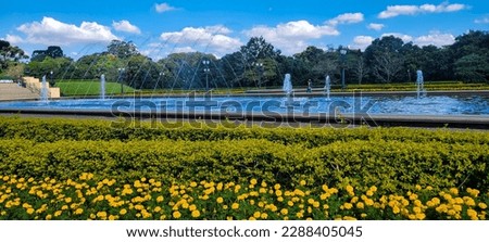Tanguá Park in the city of Curitiba, Paraná, Brazil's tourist spot on a sunny day Royalty-Free Stock Photo #2288405045