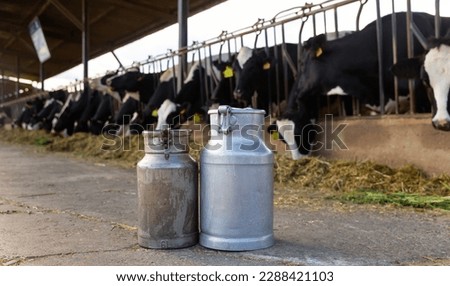 Image of two dairy canisters standing on a livestock farm and ready to be filled with milk