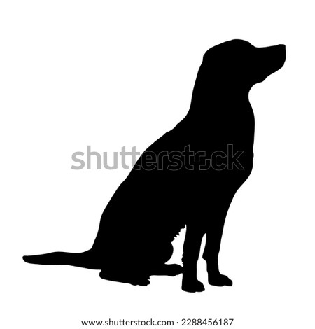 Dog silhouette. Dog breed. Labrador Vector Animal. Pet