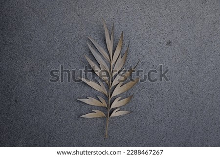 Top View of Dry autumn leaves on the cement floor background high resolution for graphic decoration, suitable for both web and print media.