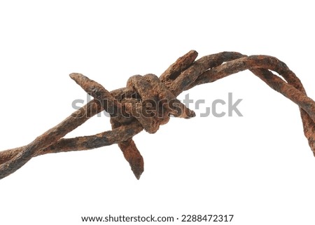 close-up macro view of old rusty barbed wire, dirty, grunge and weathered security wire fence of twisted strands with sharp barbs or points isolated on white background Royalty-Free Stock Photo #2288472317