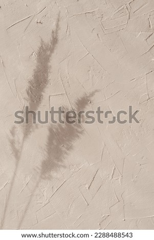 Summer aesthetic minimalist sunlight shadow background with meadow spikelet silhouette on a tan beige textured wall, elegant bohemian wallpaper, wedding design template Royalty-Free Stock Photo #2288488543