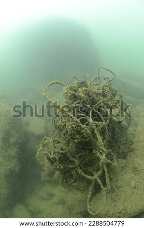 Underwater landscape with coral reef. Coral undersea photo. Seashore texture. sea water. Deep sea coral ecosystem. The extent of coral damage.