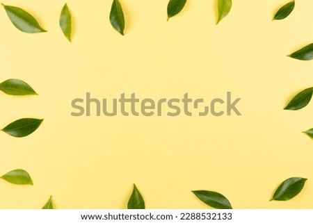 Green leaves isolated on yellow