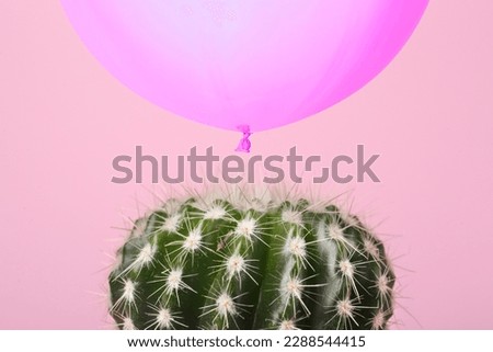 Violet balloon over cactus on pink background