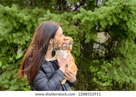 A girl kisses her pet - a chihuahua dog