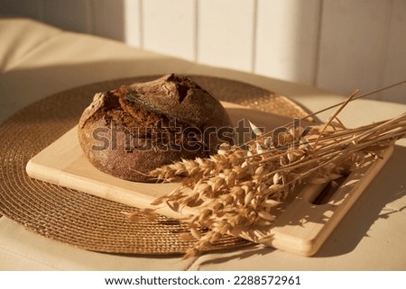 Front view of freshly baked rye bread on yeast-free starter and on mixture of whole grain, rye and wheat flour. It lies on cut board next to a dried flower with grains.Selective focus, sun.Copy space. Royalty-Free Stock Photo #2288572961
