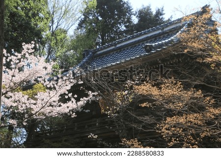Chikurinji Temple (Tokushima Prefecture, Shikoku Pilgrimage) Royalty-Free Stock Photo #2288580833