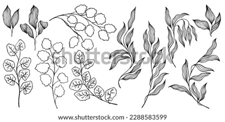 Aspen leaf, willow branch, eucalyptus foliage, ivy twig illustration vector collection. Plant isolated branches, twigs and leaves - black on white background. Decorative design elements. Aspen, ivy Royalty-Free Stock Photo #2288583599