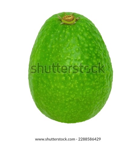 Green avocado isolated on a white background. Stock photography