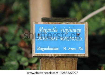 A small metal plaque labeling a tree.  It says Magnolia Virginiana Sweetbay Magnolia.