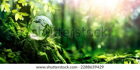 Earth Day  - Green Globe In Forest With Moss And Defocused Abstract Sunlight - Environment Concept