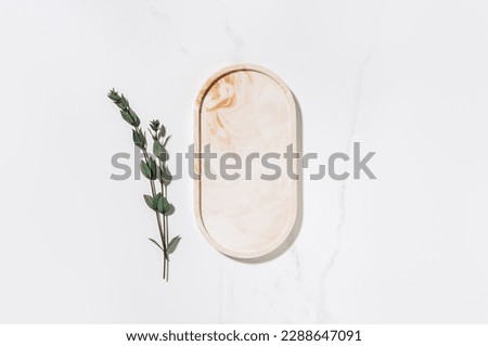 Beauty cosmetics product presentation flat lay mockup scene made with beige marble oval shape and eucalyptus branch. Studio photography.