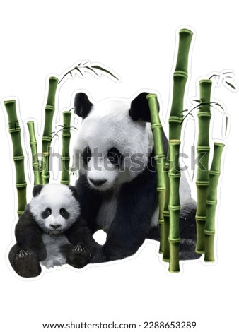 png sticker with panda family, wild animals, panda, baby panda, bamboo, China, Chinese pandas, nature, endangered species, bear, black and white, pandas sitting in bamboo, presentation picture