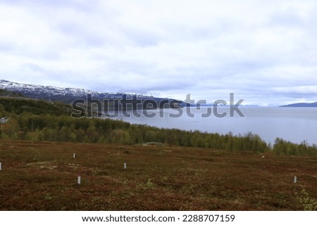 the Beautiful landscape picture along the coast in Alta, Norway with beautiful mountains in the background of the sea in summer