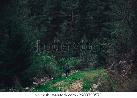 A girl walks along a path in the woods
