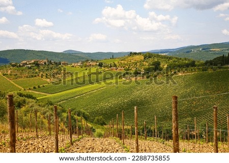 Wine factories of Chianti.Characteristic of this part of Tuscany is the fascinating succession of villages, vineyards and hills. Tuscany, Italy Royalty-Free Stock Photo #2288735855