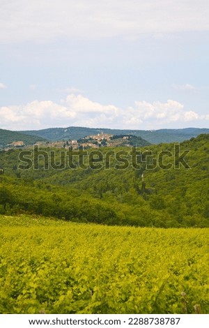typical panorama of the hills of Tuscany, central Italy. The territory of Chianti lies between Florence and Siena