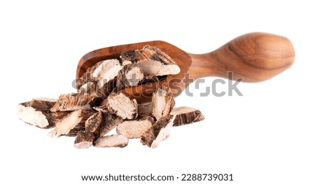 Calamus root in wooden spoon, isolated on white background. Sweet flag, sway or muskrat root. Dry root of Acorus calamus