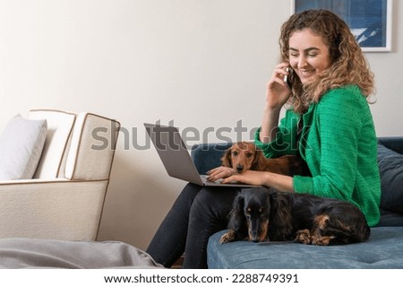 One blond woman wearing green outfit sitting on the couch working on the laptop and two Dachshund dogs