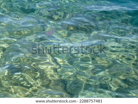 gentle waves in the Mediterranean Sea with a jellyfish in the upper part of the picture