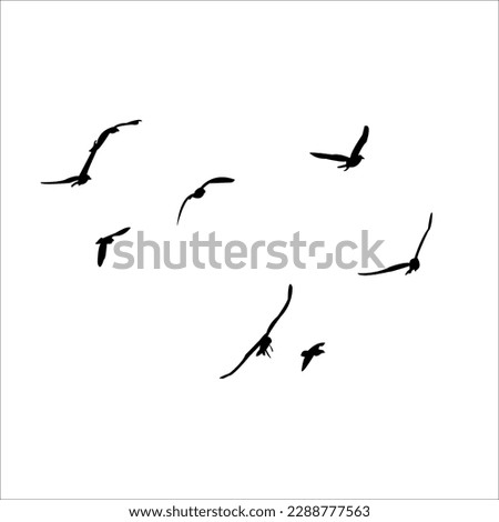Seagull Birds Flyings In The Air SilhouetteVectors Black Colored