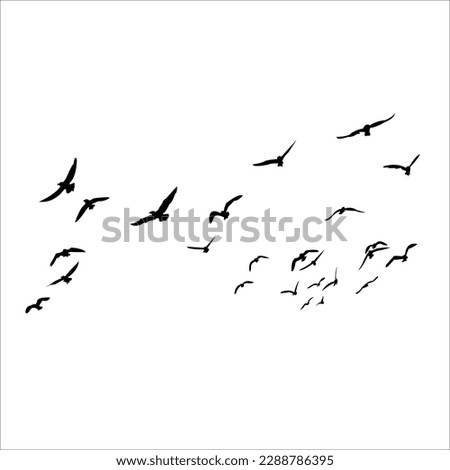Set OF Flying Seagul Silhouette Vector EPS Black Colored Royalty-Free Stock Photo #2288786395