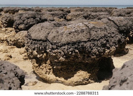 Stromatolites or stromatoliths (from Ancient Greek στρῶμα (strôma), GEN στρώματος (strṓmatos) 'layer, stratum', (líthos) 'rock') are layered sedimentary formations (microbialite) that are created main