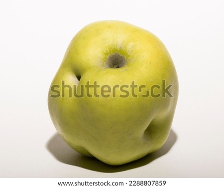 Ugly mutant apple. The fruit is yellow on a white background. Royalty-Free Stock Photo #2288807859