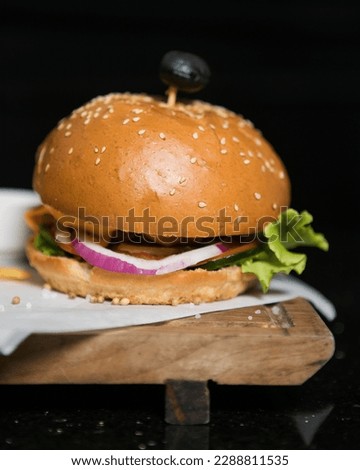 Burger Photos. Food photography burger and sandwiches for restaurant and cafe menu item. Burgers 