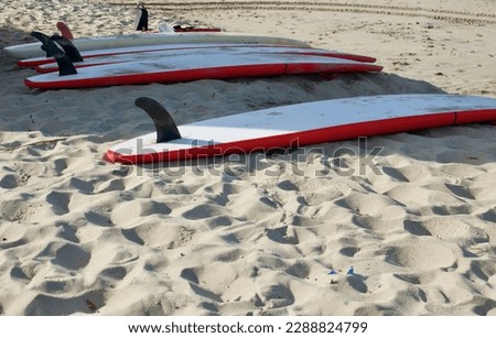 closeup of the fins on the long surfboards lined up on the beach