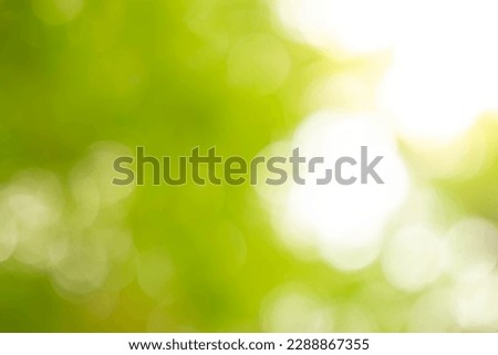 Abstract blur green color for background. Blurred and defocused effect spring concept for design. Abstract blur green foliage and tree in jungle with sun light spring summer. 