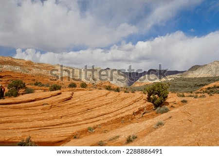 Landscape views along the Petrified Sand Dunes Trail at Snow Canyon State Park, Utah Royalty-Free Stock Photo #2288886491