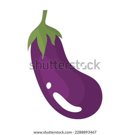 Eggplant. Purple fruit of the nightshade family. Farm products. Harvesting vegetables for the winter. Vegetarian food preparation. Vector illustration for farmers and food markets. Royalty-Free Stock Photo #2288893467