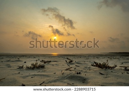 landscape of Bakkhali sea shore 