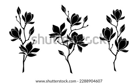 Magnolia flowers. Set of magnolia branches. Vector black silhouettes isolated on a white background Royalty-Free Stock Photo #2288904607
