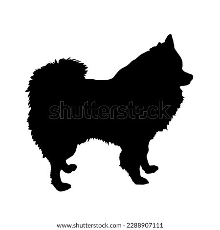 Pomeranian Spitz Dog silhouette. Pet. Animal. Vector isolated. Dog breed