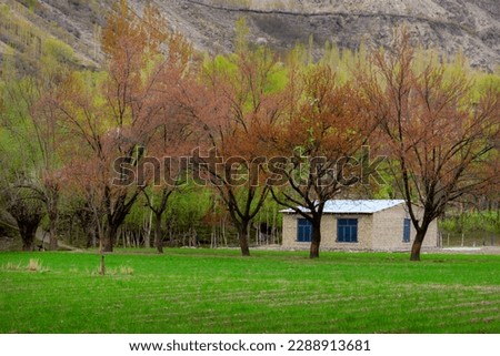 an old house in the rusty trees and green ground , cabin in the blossom trees , house in the spring fields 