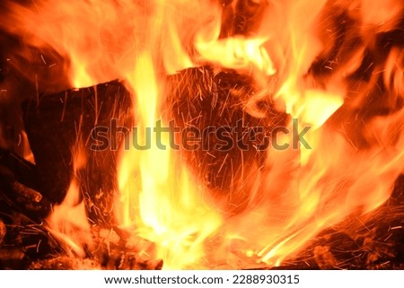Cozy and warming log fire in the fireplace, in the province of Alicante, Spain