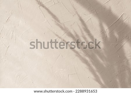 Elegant floral sunlight shadow of meadow spikelets bouquet on a warm beige wall background, minimalist brand design template with copy space