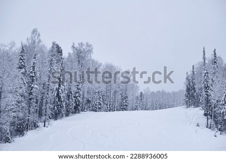 Teletsky Altai winter mountain ski resort. Mount and forest background under snowfall.