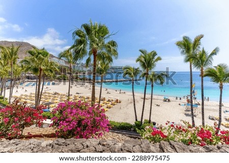 Landscape with Anfi beach,  Gran Canaria, Spain Royalty-Free Stock Photo #2288975475